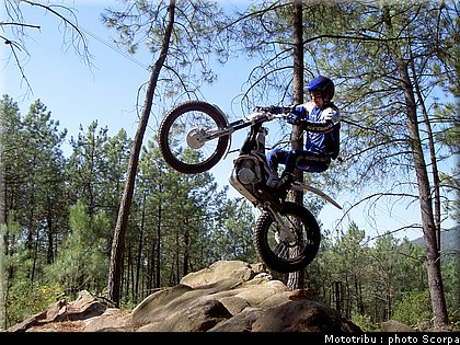 scorpa_sy250r_2008_02.jpg