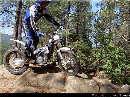 scorpa_sy250r_2008_03.jpg