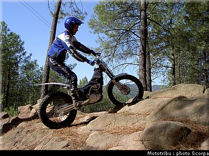 scorpa_sy250r_2008_04.jpg