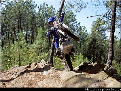 scorpa_sy250r_2008_07.jpg