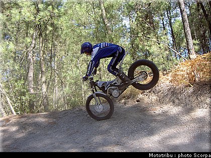 scorpa_sy250r_2008_09.jpg