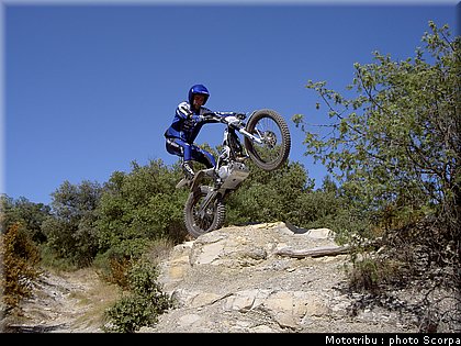 scorpa_sy250r_2008_10.jpg