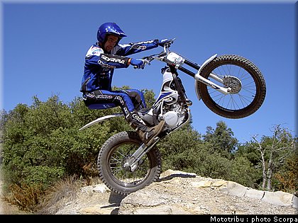 scorpa_sy250r_2008_11.jpg