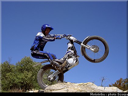 scorpa_sy250r_2008_12.jpg