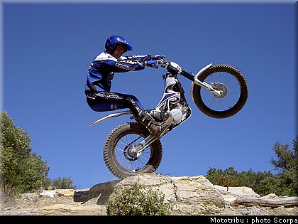 scorpa_sy250r_2008_14.jpg