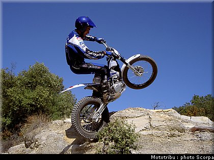 scorpa_sy250r_2008_15.jpg
