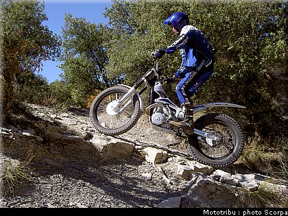scorpa_sy250r_2008_17.jpg