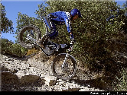 scorpa_sy250r_2008_18.jpg
