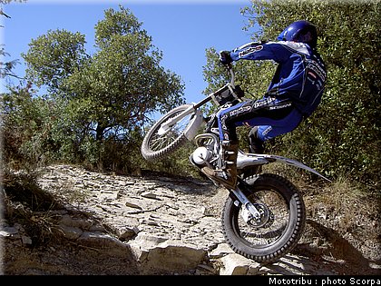 scorpa_sy250r_2008_19.jpg