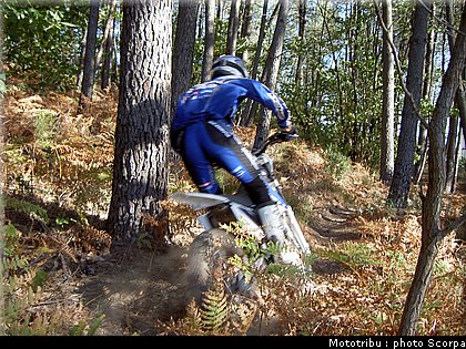 scorpa_t_ride250f_2008_1.jpg