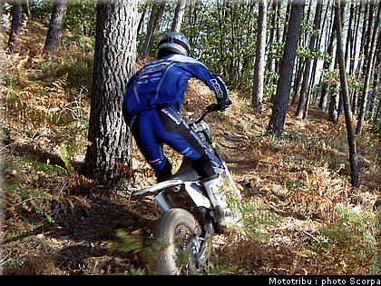 scorpa_t_ride250f_2008_2.jpg