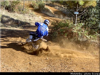 scorpa_t_ride250f_2008_7.jpg