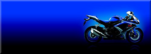 suzuki-600gsxr-2008_06.jpg