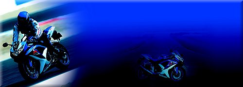 suzuki-600gsxr-2008_07.jpg