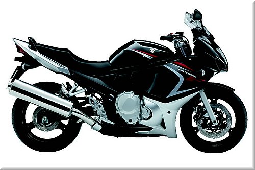 suzuki-650gsxf-2008-016.jpg