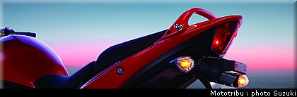 suzuki_bantit_2009_006.jpg