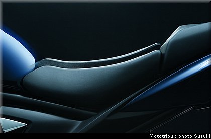 suzuki_bantit_2009_010.jpg