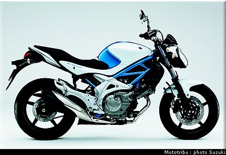 suzuki_gladius_2009_008.jpg