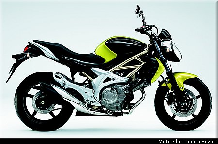 suzuki_gladius_2009_011.jpg
