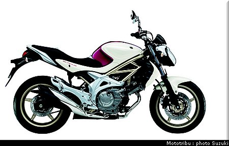 suzuki_gladius_2009_012.jpg