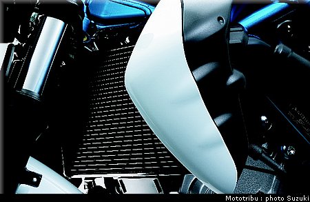 suzuki_gladius_2009_015.jpg