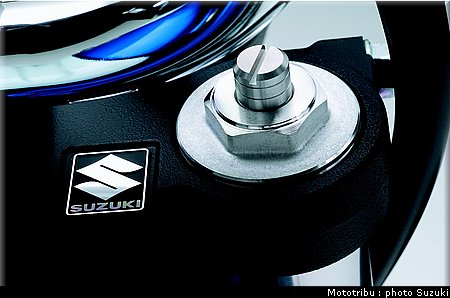 suzuki_gladius_2009_019.jpg