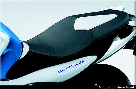 suzuki_gladius_2009_020.jpg