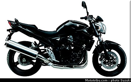 suzuki_650_gsf_bandit_2_2010.jpg