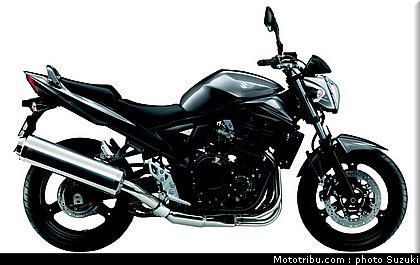 suzuki_650_gsf_bandit_4_2010.jpg
