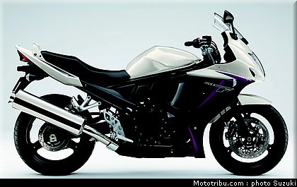 suzuki_650_gsxf_2_2010.jpg