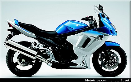 suzuki_650_gsxf_3_2010.jpg