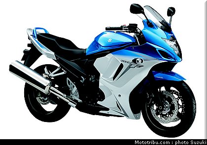suzuki_650_gsxf_a_1_2010.jpg