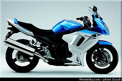 suzuki_650_gsxf_a_3_2010.jpg