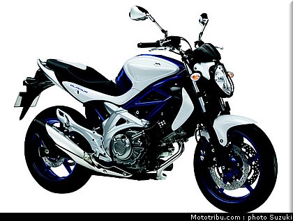 suzuki_650_sv_1_2010.jpg