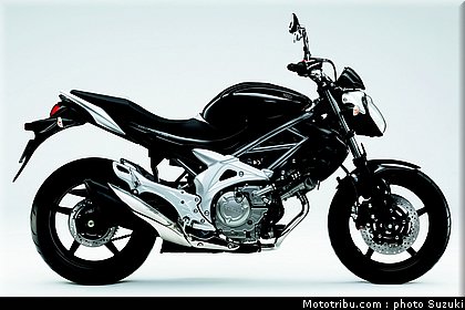 suzuki_650_sv_2_2010.jpg