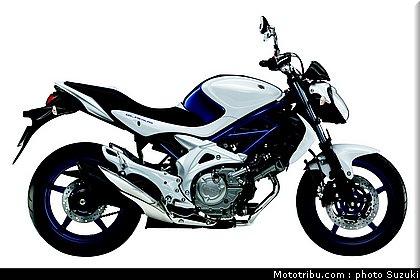 suzuki_650_sv_3_2010.jpg