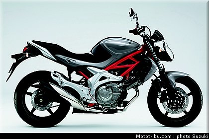 suzuki_650_sv_4_2010.jpg