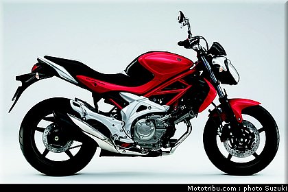 suzuki_650_sv_5_2010.jpg