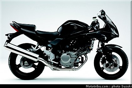 suzuki_650_svs_1_2010.jpg