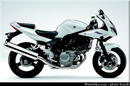 suzuki_650_svs_2_2010.jpg