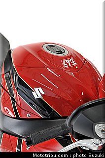 suzuki_yoshimura_2010_4.jpg