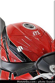 suzuki_yoshimura_2010_5.jpg