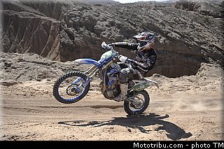 mori_4_tm_2013.jpg