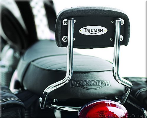 053_bonneville_sissy_bar_high_chrome.jpg