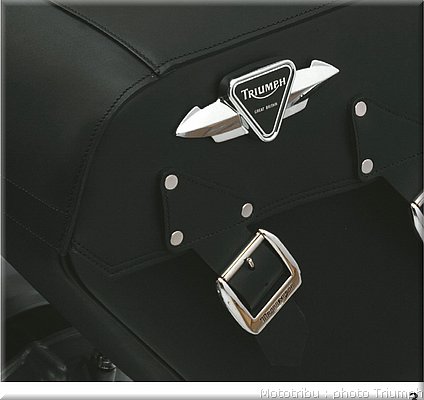 0084_rocket3_pannier_embellisher_side-046.jpg