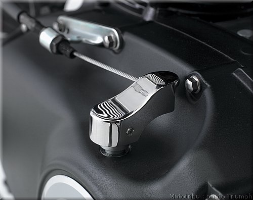 020_scrambler_chrome_arm_cover.jpg