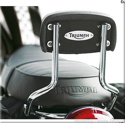 031_scrambler_sissy_bar_high.jpg