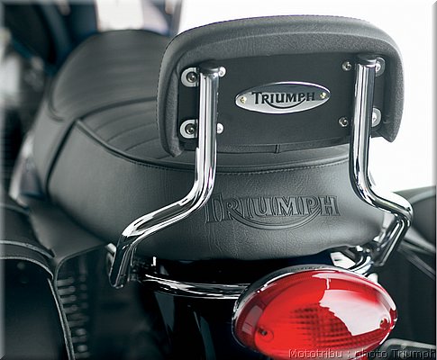 032_scrambler_sissy_bar_low.jpg