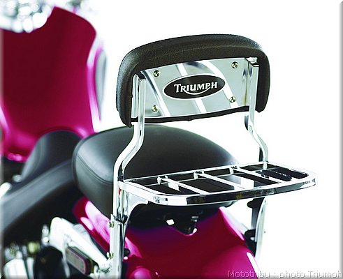 061_america_spdm_sissy bar and rack short_048.jpg
