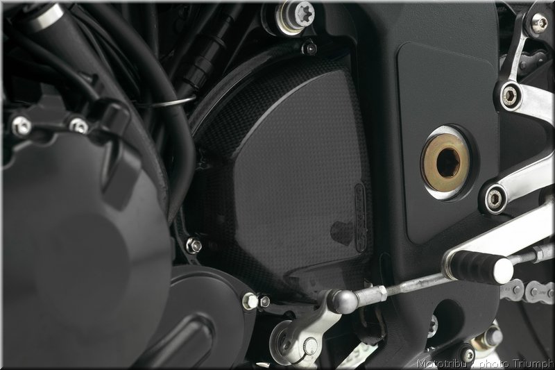 triumph-speedtriple2008_08